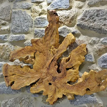 Galihost - Preciosa Casa Marinera En Carril